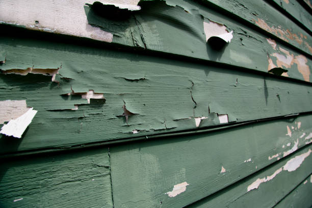 Best Dumpster Rental Services  in Obetz, OH